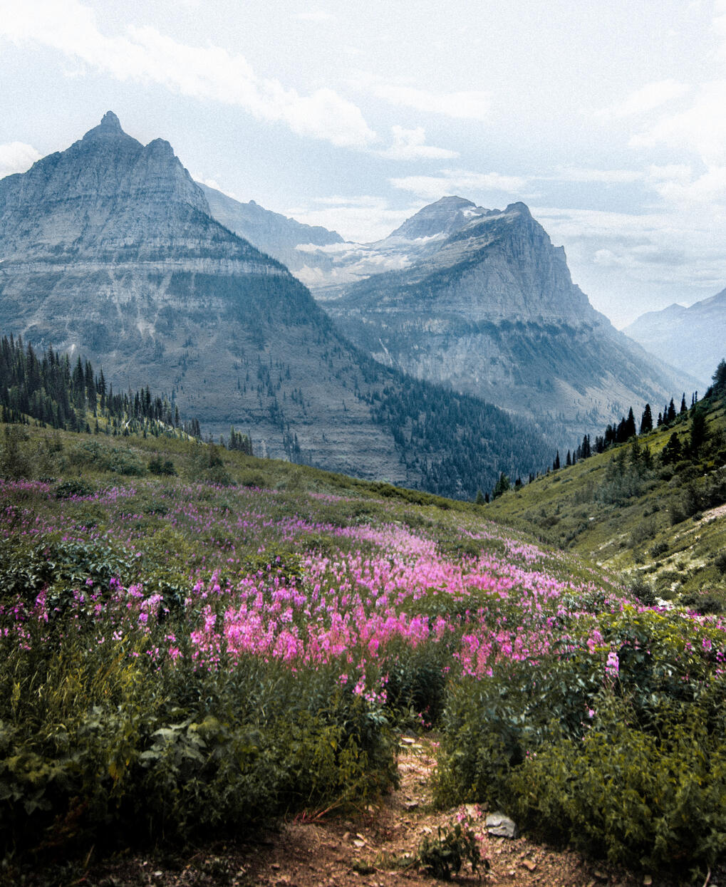 mental health therapy